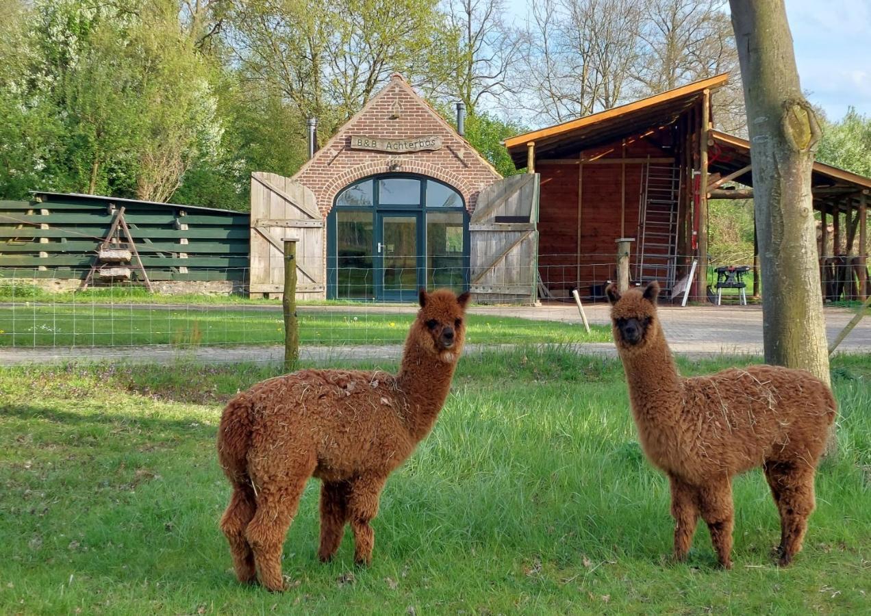 Holiday Home Achterbos Sint-Oedenrode Luaran gambar